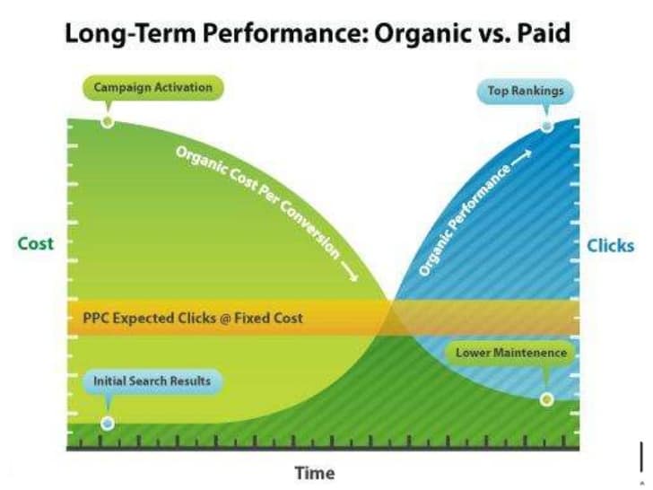 organic vs paid search